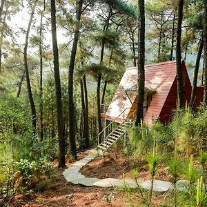 Cat Ba Eco Lodge Resort